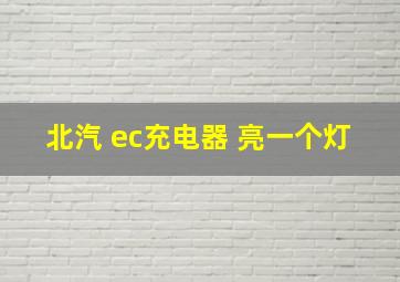 北汽 ec充电器 亮一个灯